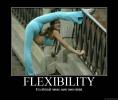 Thumbnail of flexibilityfn1.jpg