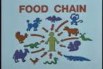 Thumbnail of food_chain.jpg