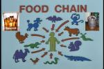 Thumbnail of food_chain1.jpg