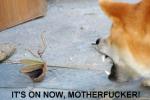 Thumbnail of 1113.jpg