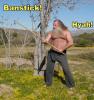 Thumbnail of banstick.jpg