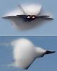 Thumbnail of f22_montage.jpg