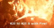 Thumbnail of killitwithfire.jpg
