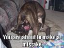 Thumbnail of mistakety8.jpg