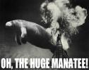 Thumbnail of oh-the-huge-manatee.jpg