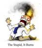 Thumbnail of thestupiditburns.jpg