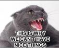 Thumbnail of this-is-why-we-cant-have-nice-things.jpg